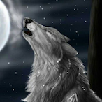 Bdog211104's Avatar'