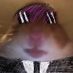 TeddyBear_Tarro's Avatar'