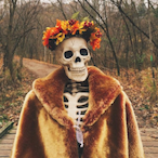 The_Simpleton's Avatar'