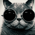 SplitStickz's Avatar'
