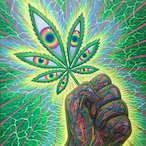 QuackSparrow420's Avatar'