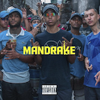 Mandrakecria's Avatar'