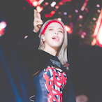 Tiger_is_coming's Avatar'