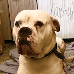 MercedeskoCZe's Avatar