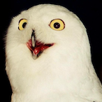Sir_KnightOwl's Avatar'