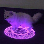 V.i.z.z's Avatar'