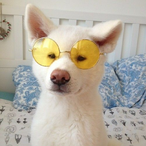 Javiolez's Avatar'