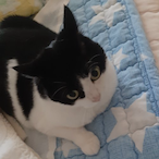 We_Higher_Going's Avatar'