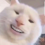 daniboif_'s Avatar'