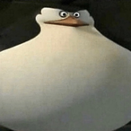 Johnx0b's Avatar'
