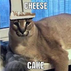 SackTugger's Avatar'