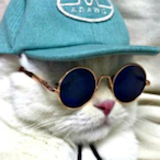 J0sh_Birk's Avatar'