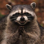 mattstansbie's Avatar'