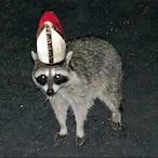 DOC-0N-CAMS's Avatar'