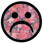 MoranRoman's Avatar'