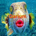 Darium.'s Avatar'