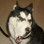 Sklno's Avatar'