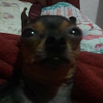 hopinho's Avatar'