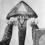 IIIuminati.Cat's Avatar'