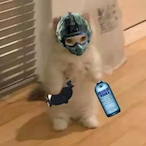 heiguasuanxian's Avatar'
