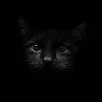 JoshMakesMoney's Avatar'