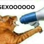 GatoGuaton's Avatar'