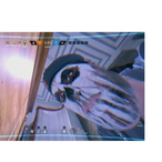 SteinsGate_BN's Avatar'