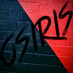 NulOsiris's Avatar'