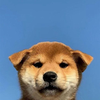 MIAxLoading's Avatar'