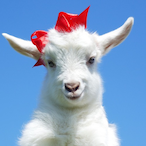 NSG.Goat's Avatar'