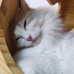 Eat_big_peach's Avatar'