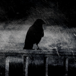 CROW-__-