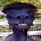 Kaztiz's Avatar'