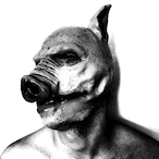 what is gae's Avatar'