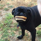 f_my_a_dude's Avatar'