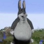 Glockatoo's Avatar'