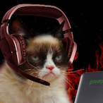 friskylarry's Avatar'