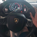 OYBAIHAO123's Avatar'