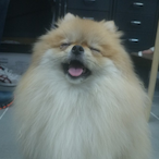 BombBy_'s Avatar'