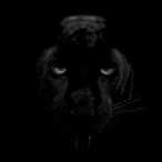FLOREZ_XD's Avatar'