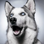 Slammjd 67's Avatar'