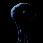 A_Cancxr's Avatar'