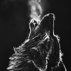 AndrewSaga123's Avatar'