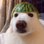 Opetai's Avatar'