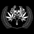 CTRL_Aristokrat's Avatar'