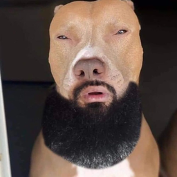 CrokiGoat