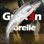 Gurk3n_Forelle's Avatar'