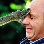 TheSnake2005's Avatar