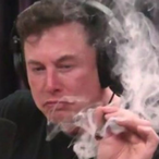 DocsPookie's Avatar'