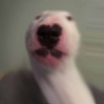 RobloxClothes's Avatar'